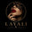Layali - Accueil
